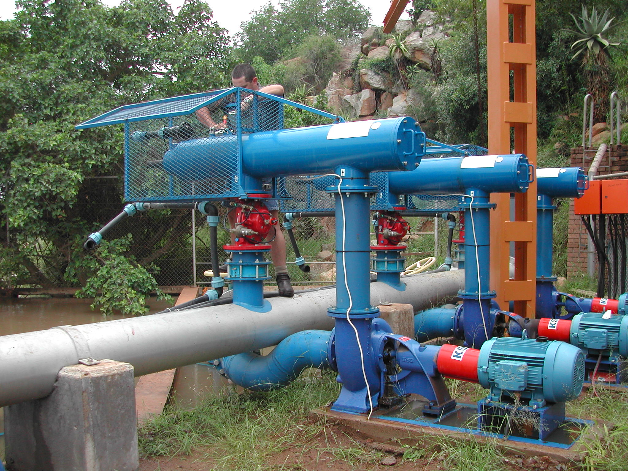 South Africa 1 yamitf